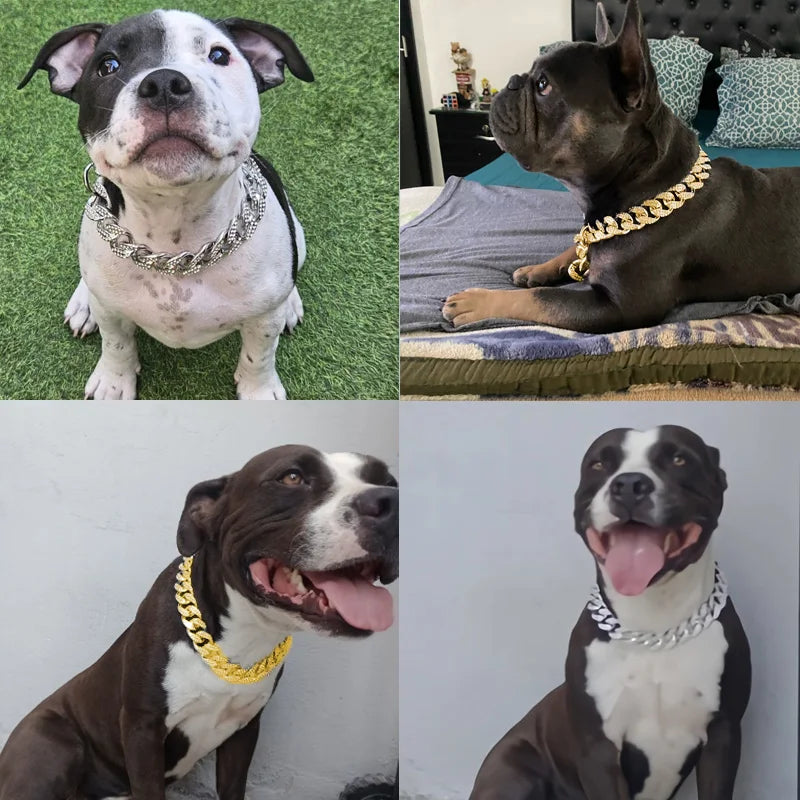 Dog Collar Diamond Inlay