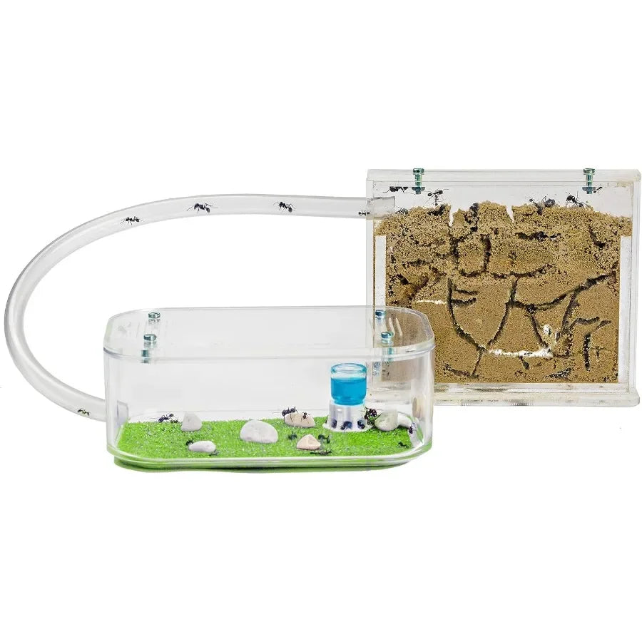 Educational Natural Sand Ant Farm Acrylic Kit for Indoor Exploration