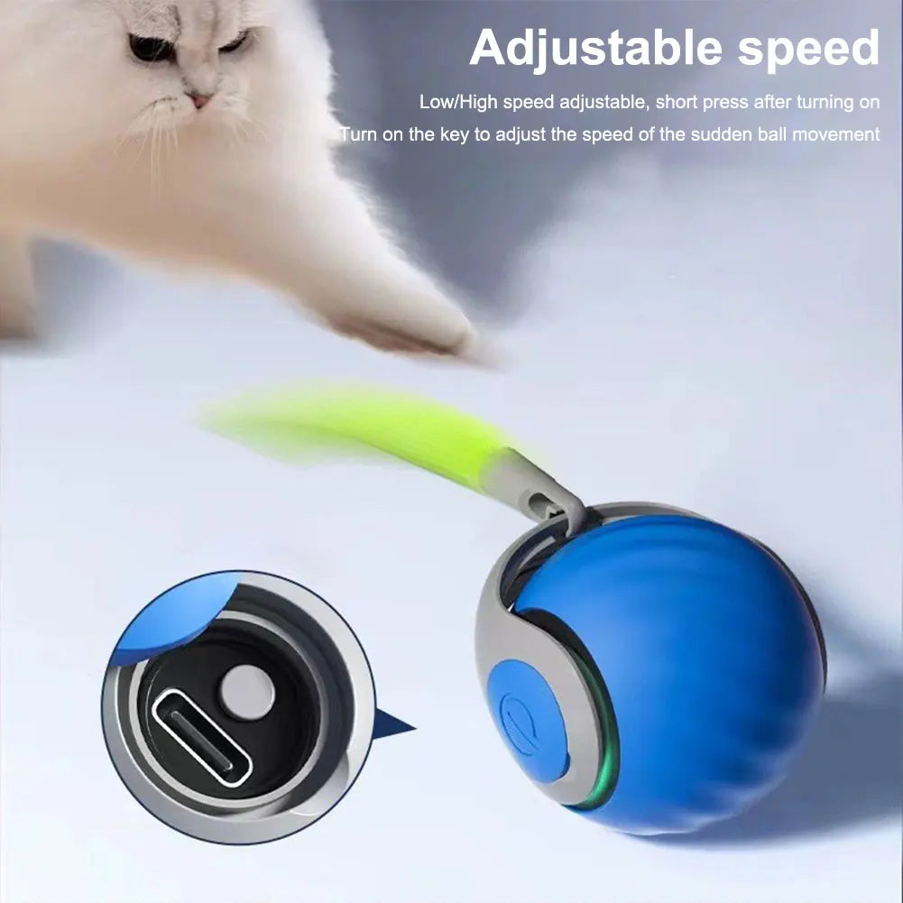 Pet Toy Ball Interactive Play For Cats And Dogs Worldwide