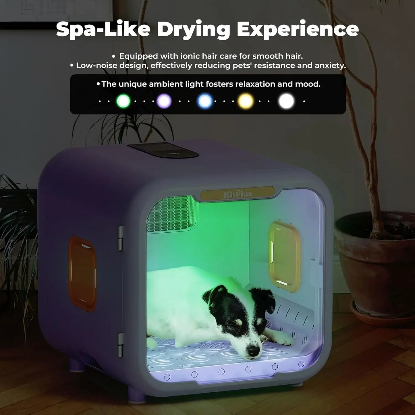 Pet Dryer Box Smart Temp Control for Dogs and Cats