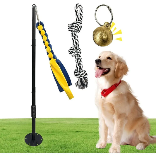 Tether Tug Outdoor Interactive Dog Toy