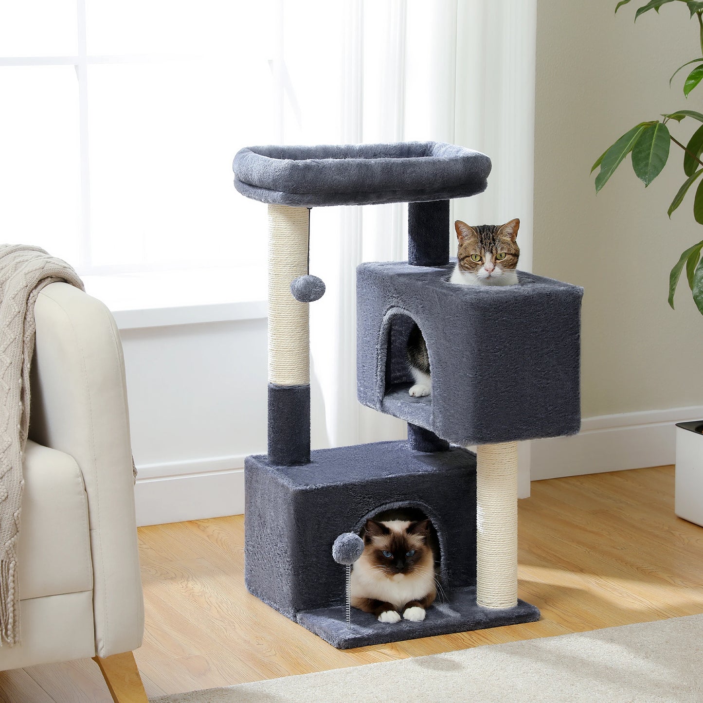 PEQULTICN Cat Tree Detachable Top Perch For Indoor Cats
