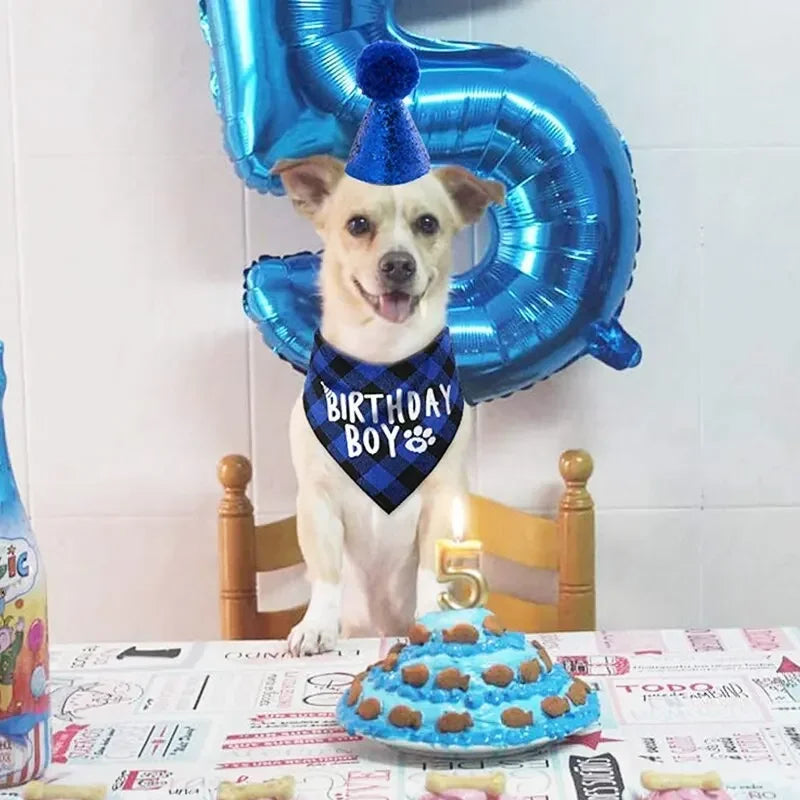 YTYINCN Pet Birthday Props Polyester Hat Drool Scarf