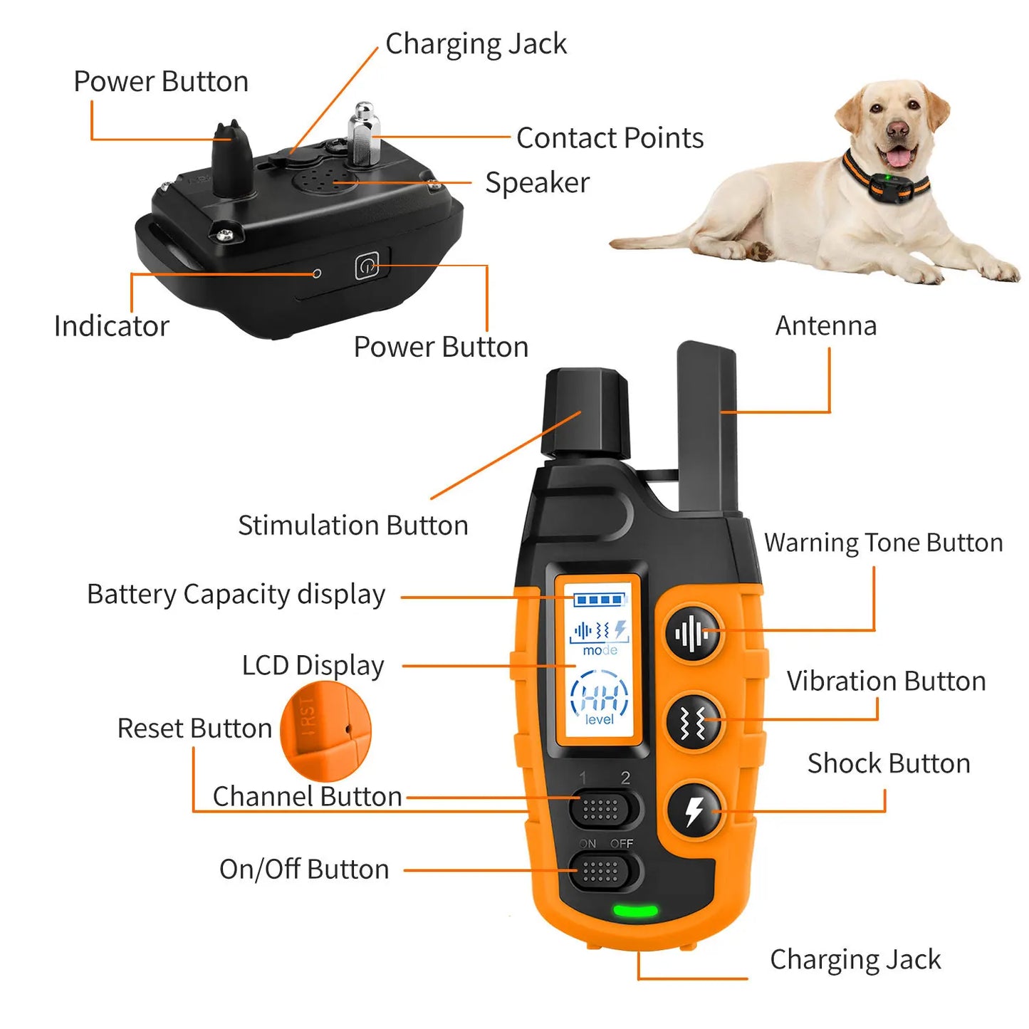 Electric Dog Training Collar Waterproof Remote Control