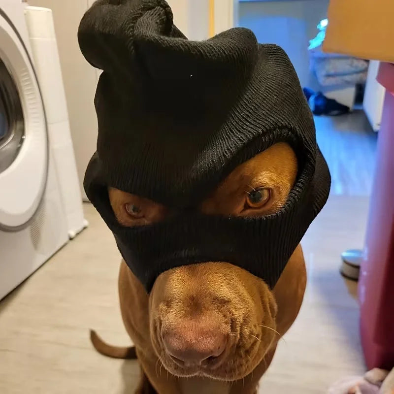 1pc Dog Halloween Christmas Costume Dog Ear Cover Noise Protection Knitted Dog Ear Warm Hat Dog Robber and Thief Mask Fun Pet Ro