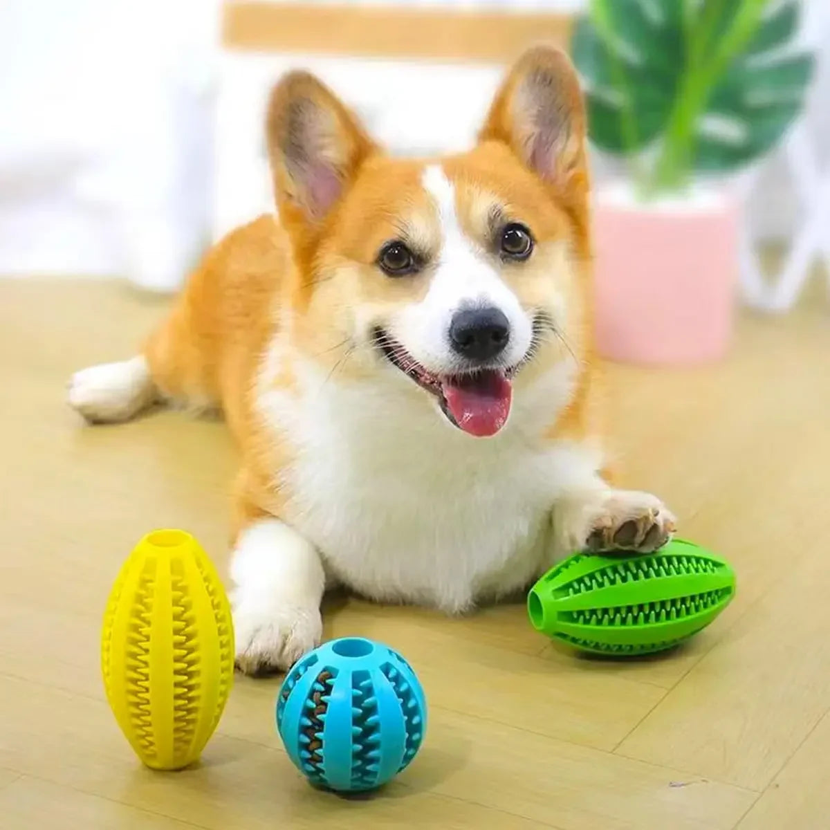 Dog Chew Ball Natural Rubber Teeth Cleaning Toy