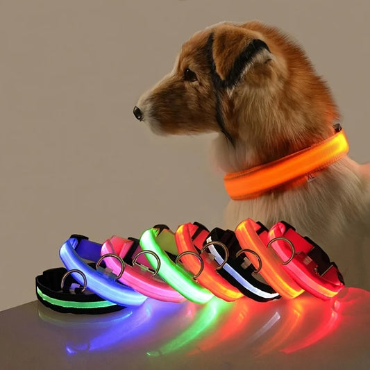 NONECN Dog Leash Luminescent Night Led Glow For Night Walks