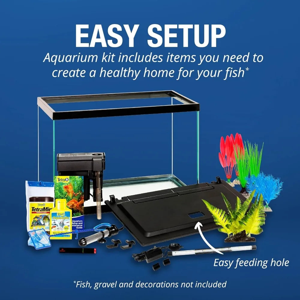 Professional Rectangular Glass Fish Tank with LED Lighting and Accessories