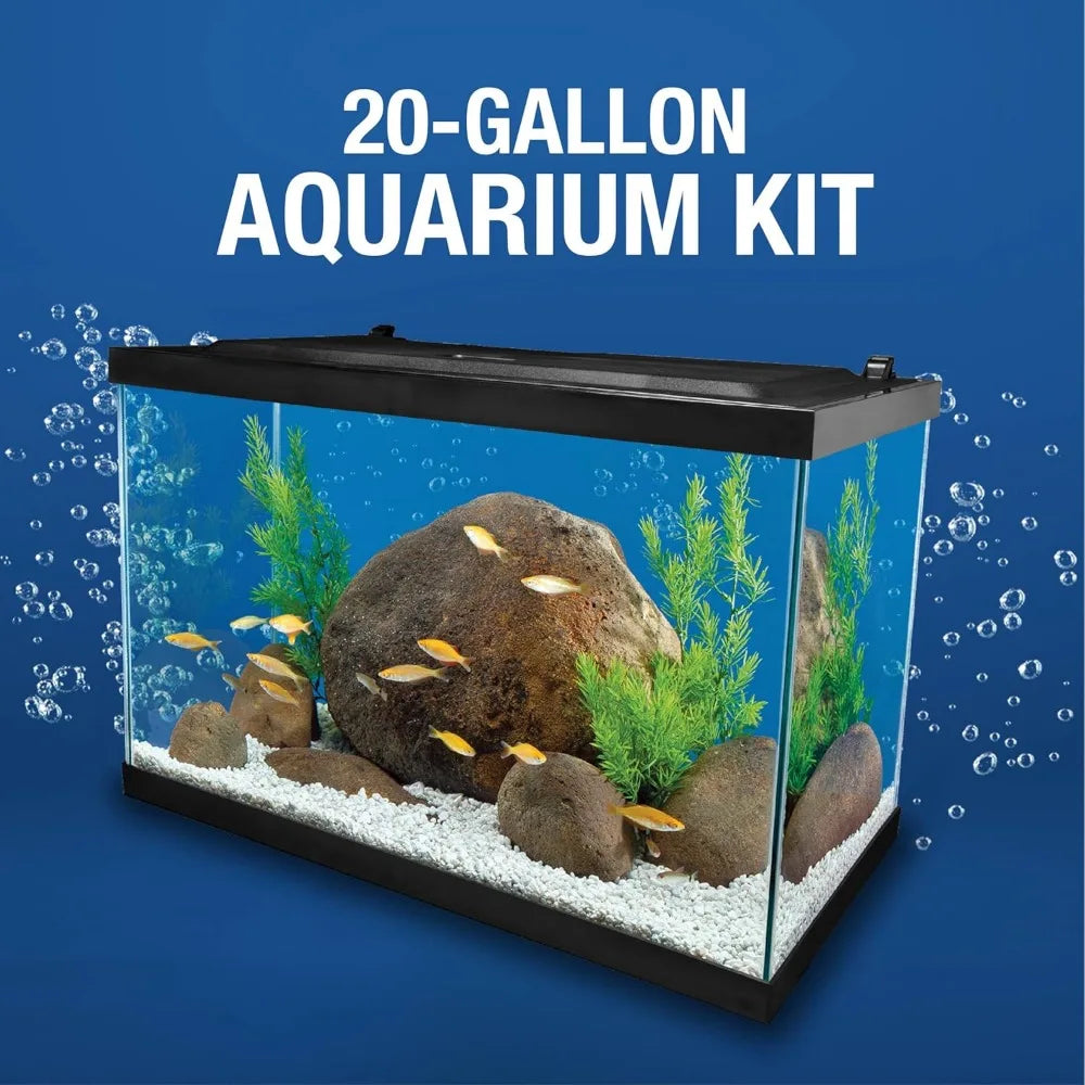 Professional Rectangular Glass Fish Tank with LED Lighting and Accessories